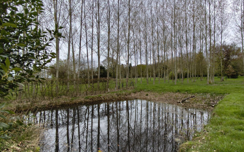 
Propriété rurale - 2 habitations
 - Photo 12