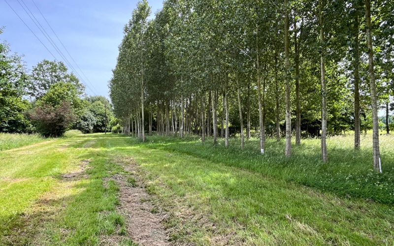 
Propriété rurale sur 11658m2
 - Photo 11
