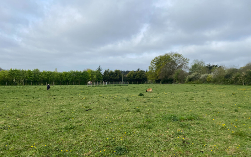 
Propriété rurale sur plus de 3 ha.
 - Photo 2