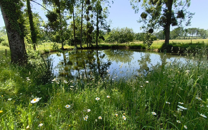 
Vallée du Couesnon (35) - Propriété rurale sur 144270m2.
 - Photo 10