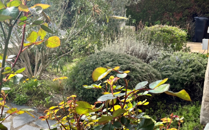 
Maison Rennes Cimetiere Est -Landry environ 139 m²
 - Photo 12