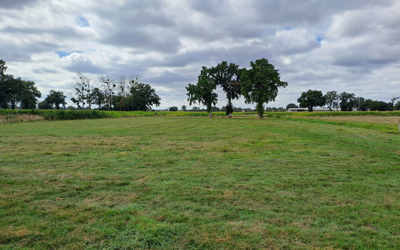 
Maison sur un terrain de 9700m² .
 - Photo 16