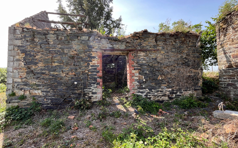 
VITRE (35) - fermette sur 1ha 60a.
 - Photo 2