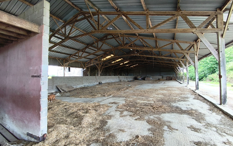 
VITRE (35) - propriété rurale sur 7ha.
 - Photo 11