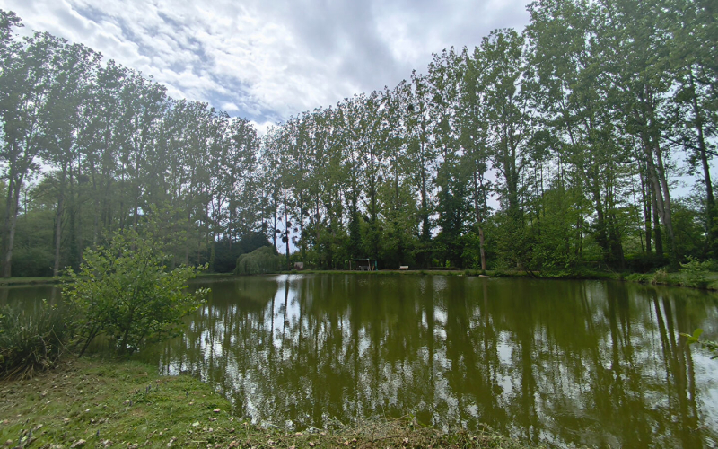 
Terrain de loisirs avec étang sur Marcillé-Raoul (35)
 - Photo 11