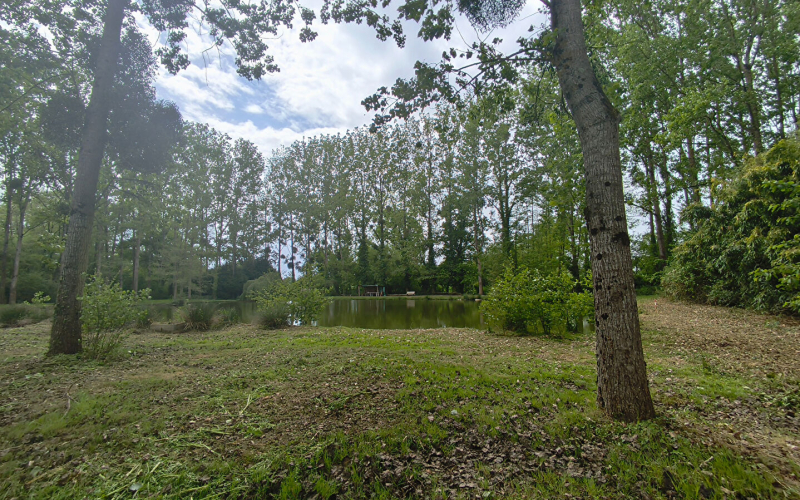 
Terrain de loisirs avec étang sur Marcillé-Raoul (35)
 - Photo 12