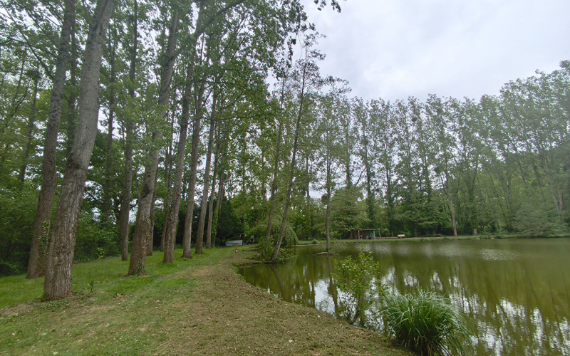 
Terrain de loisirs avec étang sur Marcillé-Raoul (35)
 - Photo 3