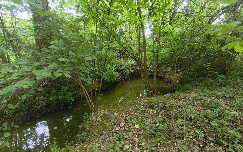 
Terrain de loisirs avec étang sur Marcillé-Raoul (35)
 - Photo 5