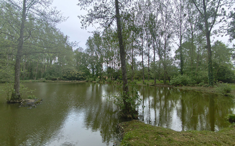 
Terrain de loisirs avec étang sur Marcillé-Raoul (35)
 - Photo 6